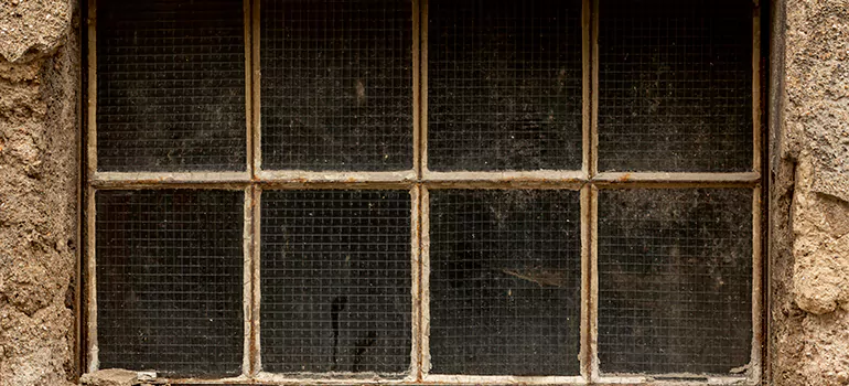 Traditional Double Front Doors in Clermont, FL