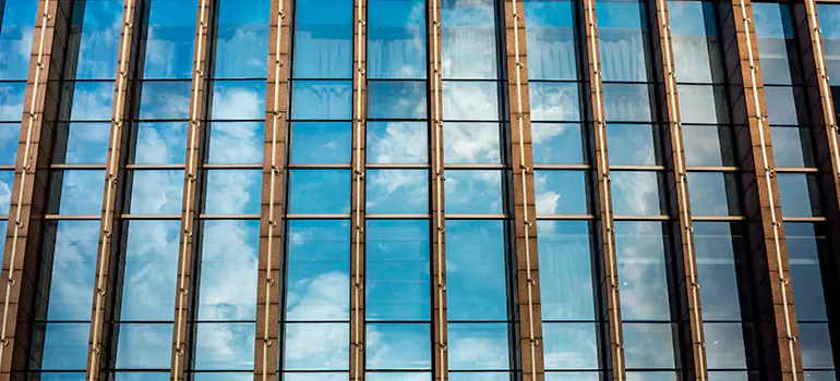 Professional Window Tinting Services in Clermont, FL