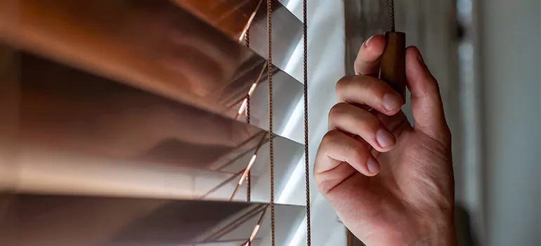 Double Roller Blinds in Clermont, FL