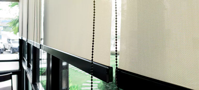 Blackout Window Shades in Clermont, FL