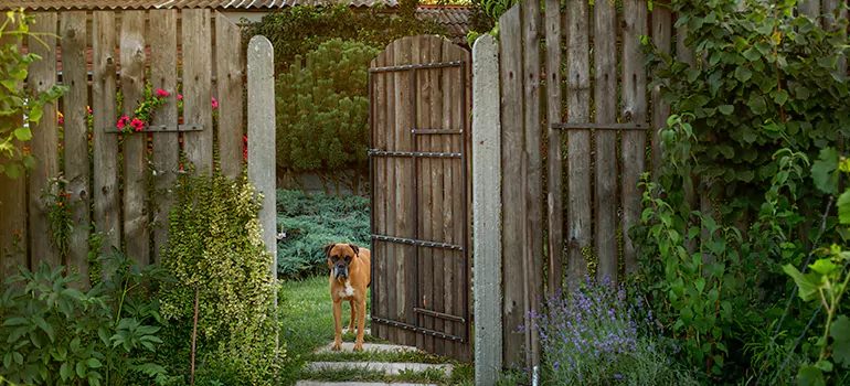 Winter Garden Garage Door Repair in Clermont,[location field=state]