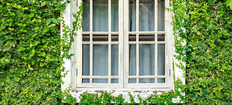 Garden Window Repair Near Me in Clermont, FL