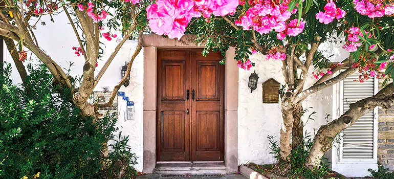 Traditional 4 Panel Internal Doors in Clermont, FL