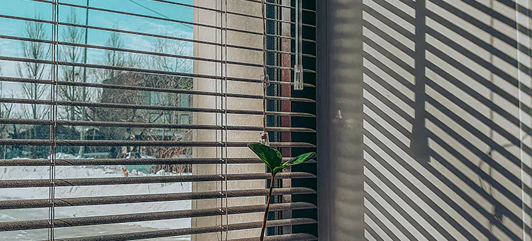 Commercial Window Blinds in Clermont, FL