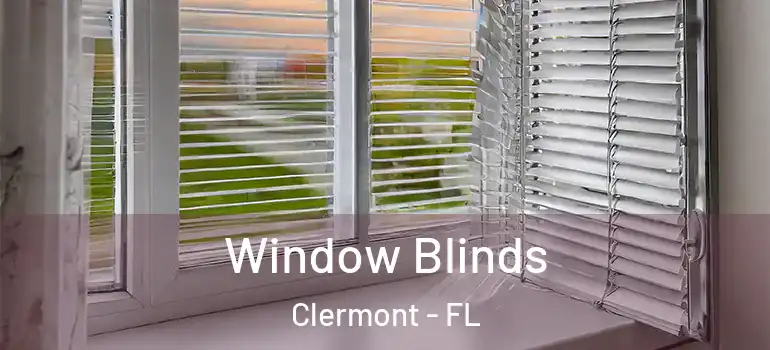 Window Blinds Clermont - FL