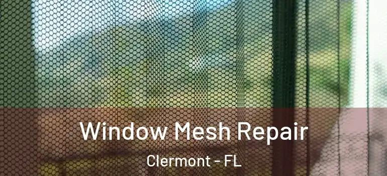 Window Mesh Repair Clermont - FL