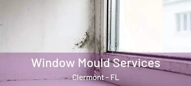 Window Mould Services Clermont - FL