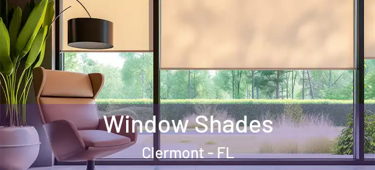 Window Shades Clermont - FL